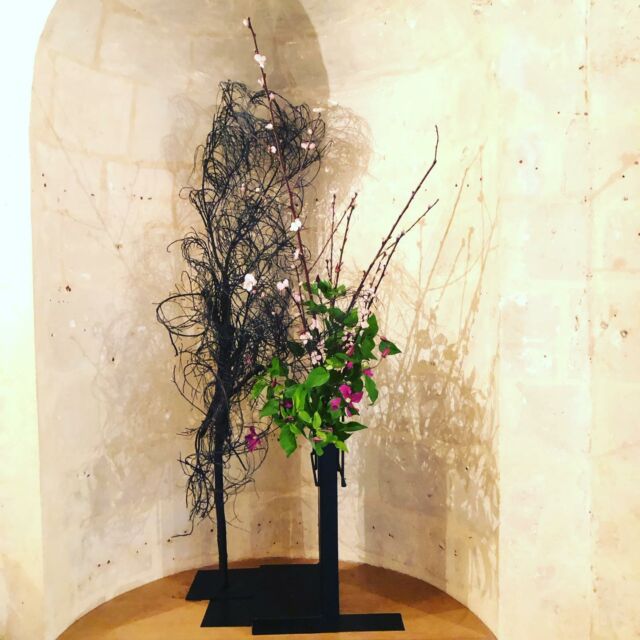 Client work 

#flowerartist #ikebana #flowerarrangements #sogetsu #paris #flowers #fleurs #decoration #いけばな #草月 #花の仕事 #works #華道家 #artfloral #floral_shots #flowerphotography #flowerlovers #flowerjapan #flowerpower #floraldesign #floralillustration #florist #ikebanaartist