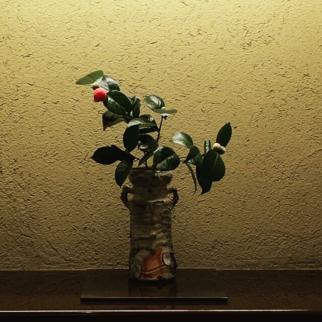 Client work

#flowerartist #ikebana #flowerarrangements #sogetsu #paris #flowers #fleurs #decoration #いけばな #草月 #花の仕事 #works #華道家 #artfloral #floral_shots #flowerphotography #flowerlovers #flowerjapan #flowerpower #floraldesign #floralillustration #florist #ikebanaartist